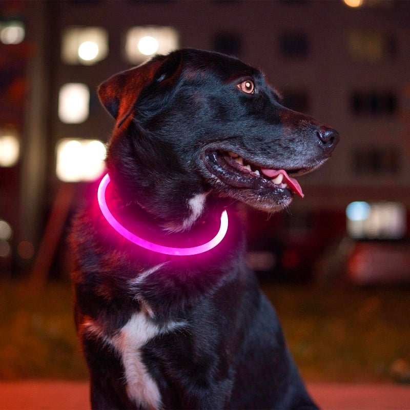 BSEEN Led Dog Collar, BSEEN USB Rechargeable Flash Dog Necklace Light, Pet Safety Collar Makes Your Beloved Dogs Be Seen at Night for Small Medium Large Dogs(Pink) - Image 5